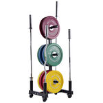 Weight Plates Mobile Rack