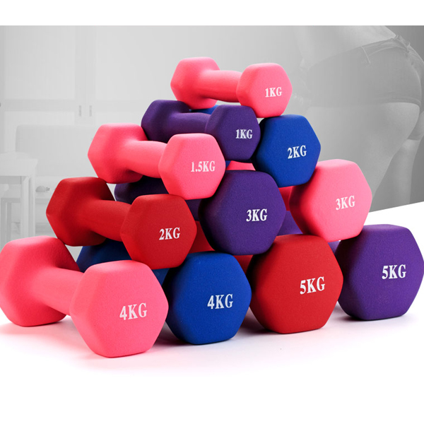 Home Use Yoga Dumbbell