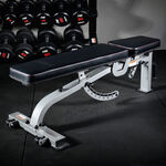 Commercial Gym Bench