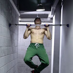 pull-up-bar-in-action-1[1]