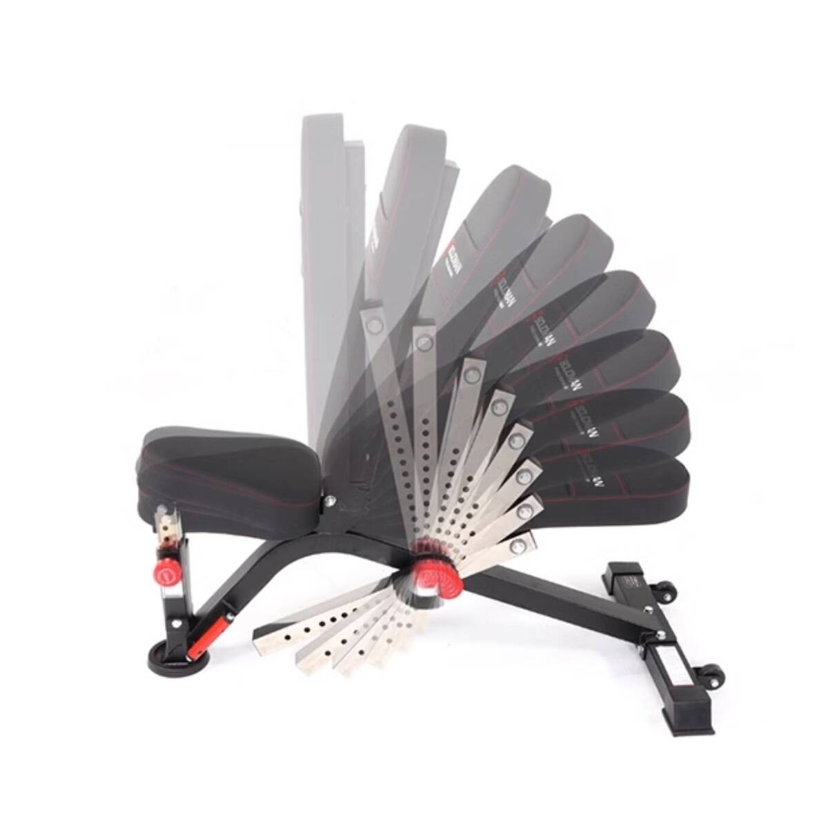 Adjustable Training Bench | NutroOne